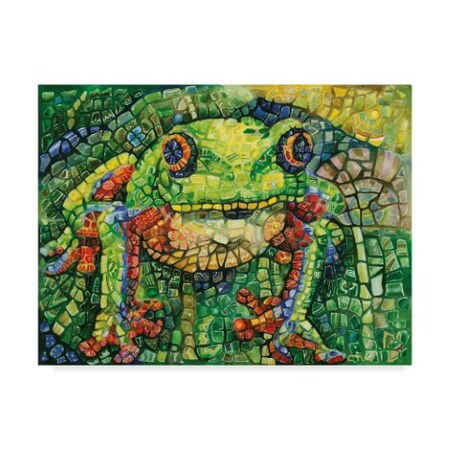 Trademark Fine Art Charlsie Kelly 'La Rana' Canvas Art, 18x24 ALI40867-C1824GG